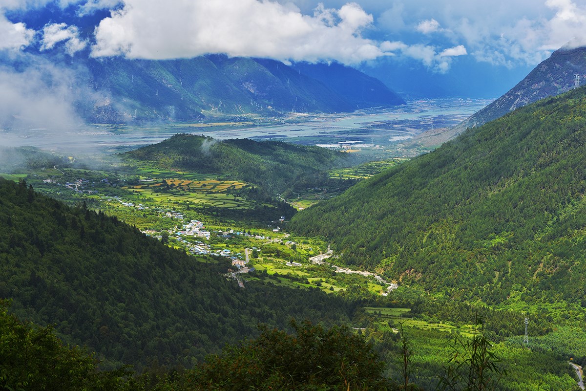 Linzhi | Photo by Liu Bin