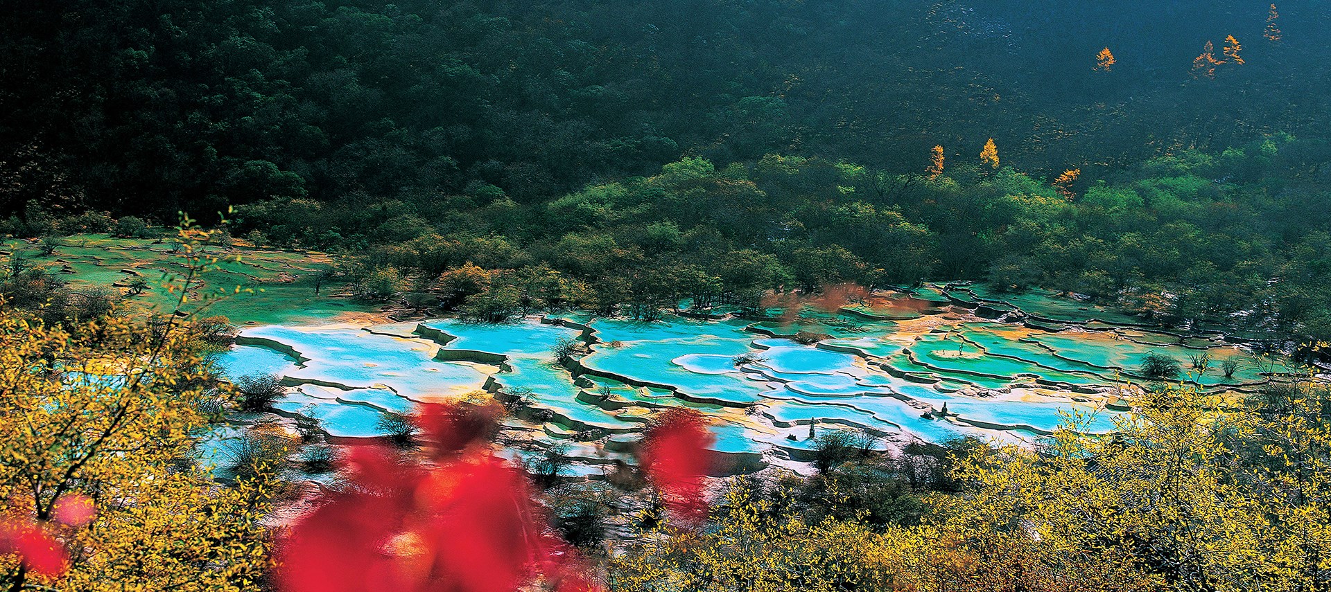 Culture and Nature Tour in Sichuan, Gansu, and Qinghai